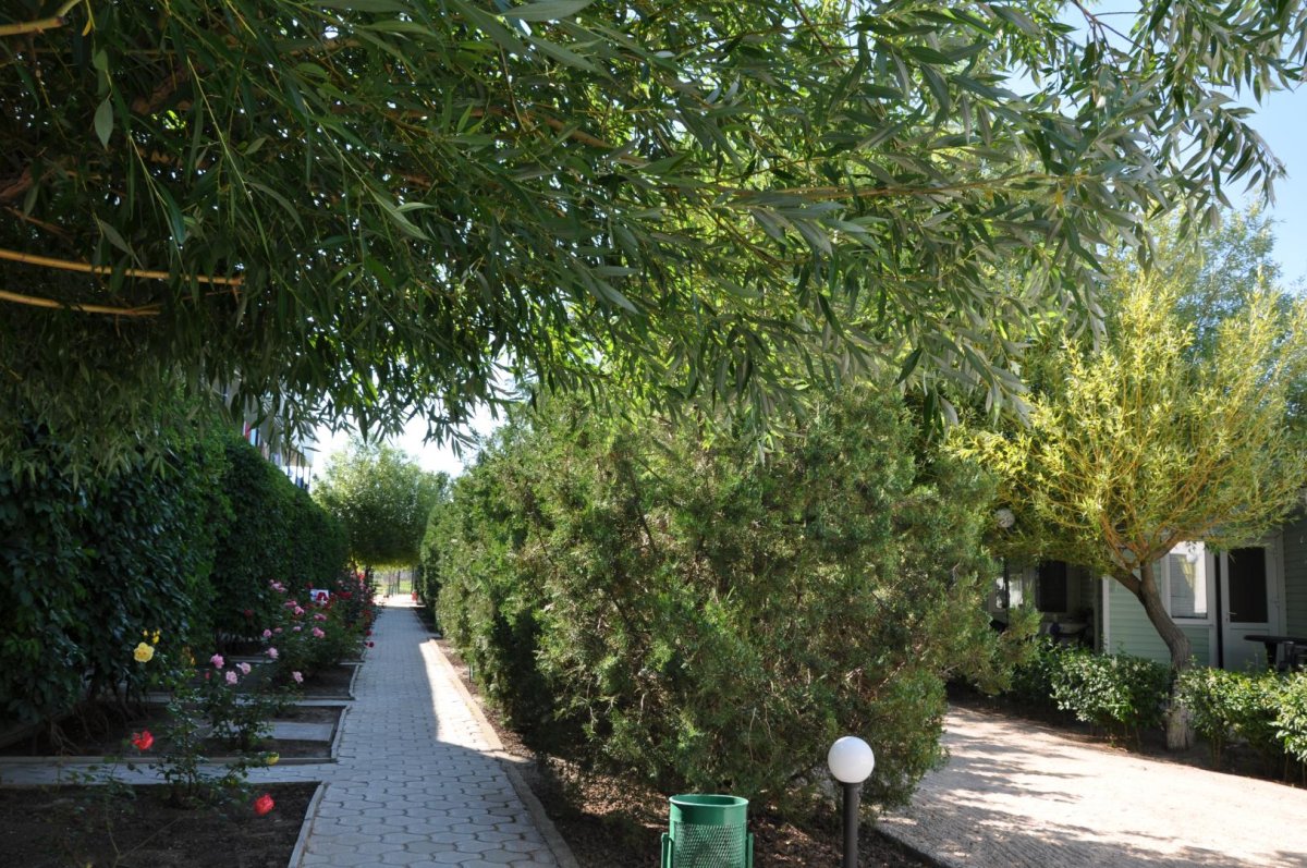 база отдыха «Елена», Кирилловка. Фото 9