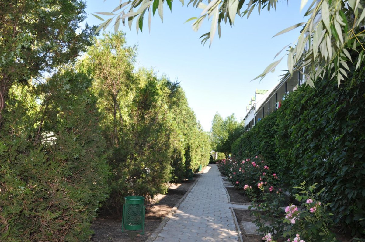 база отдыха «Елена», Кирилловка. Фото 10