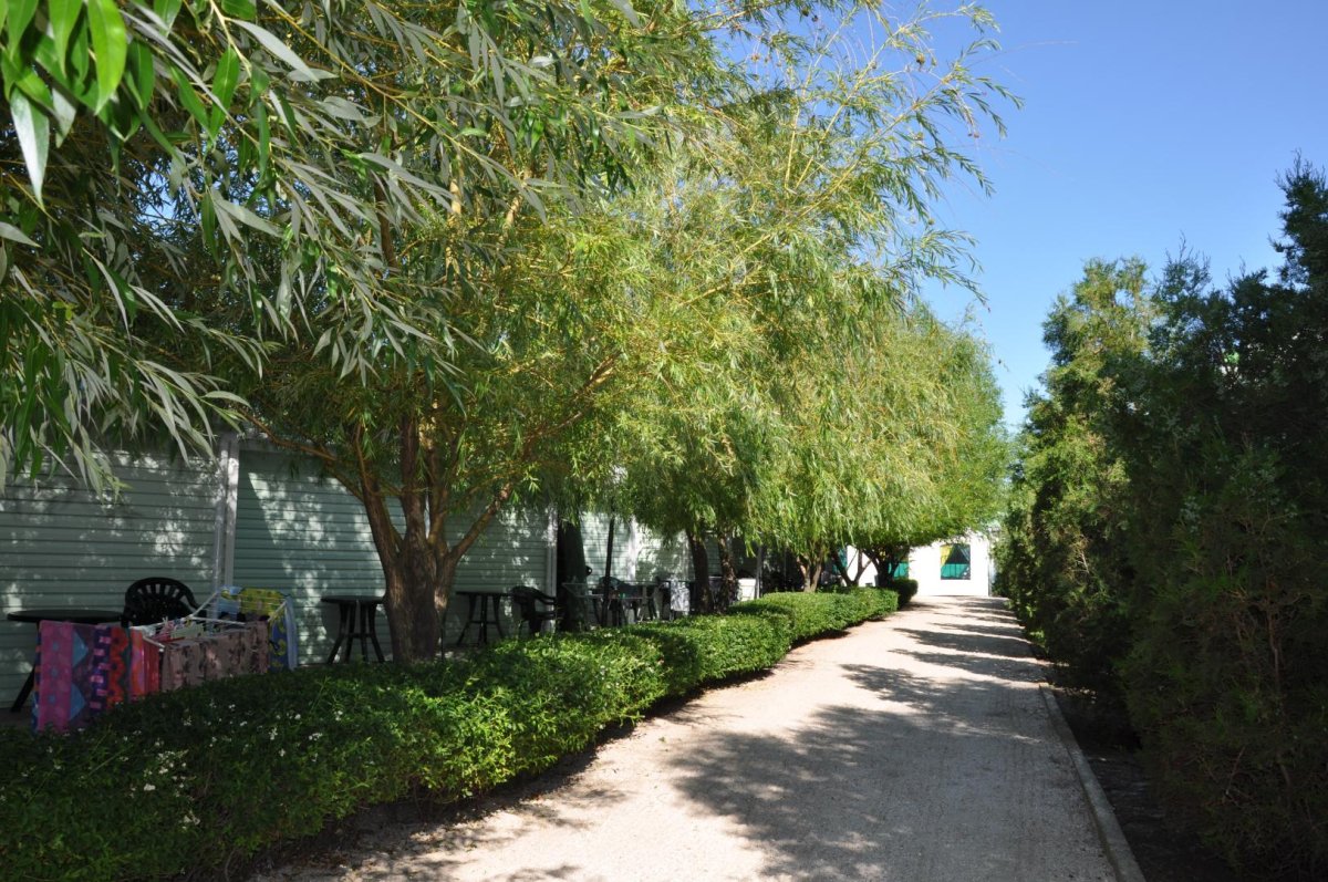 база отдыха «Елена», Кирилловка. Фото 11