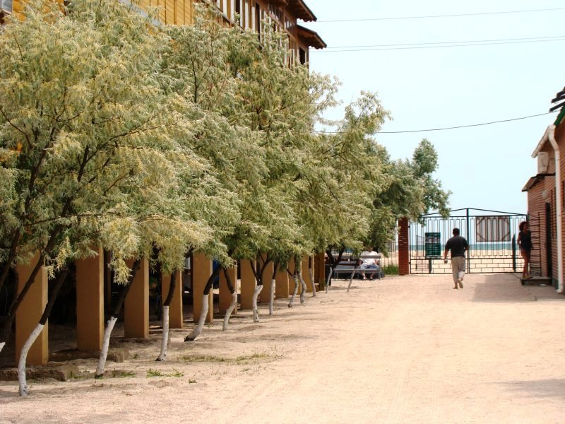 база отдыха «Колос», Кирилловка. Фото 4