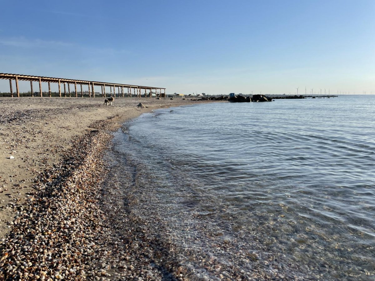 апартаменты «Grand Family Apartments», Приморск. Фото 5