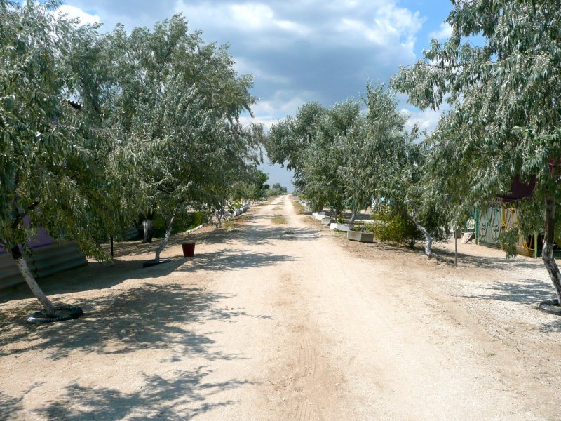 база отдыха «Орион», Кирилловка. Фото 28