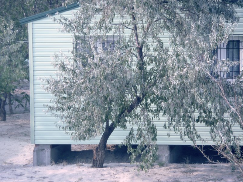 база отдыха «Орион», Кирилловка. Фото 27