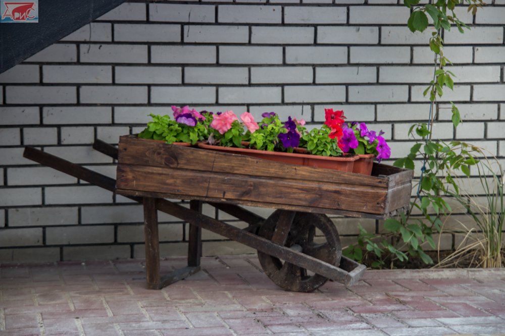 база отдыха «Арис», Кирилловка. Фото 8