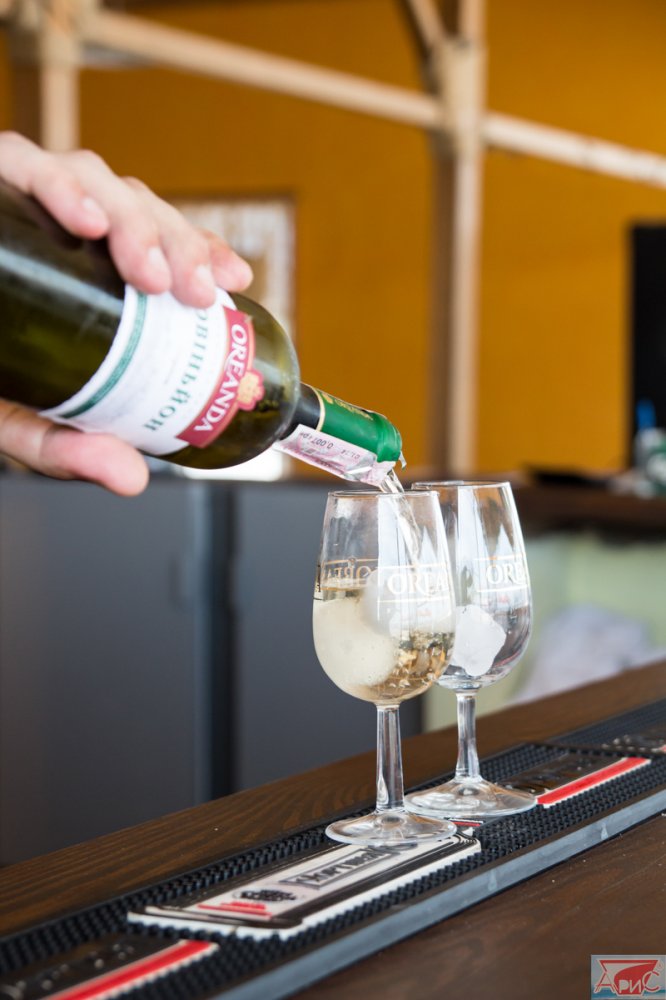 база отдыха «Арис», Кирилловка. Фото 61