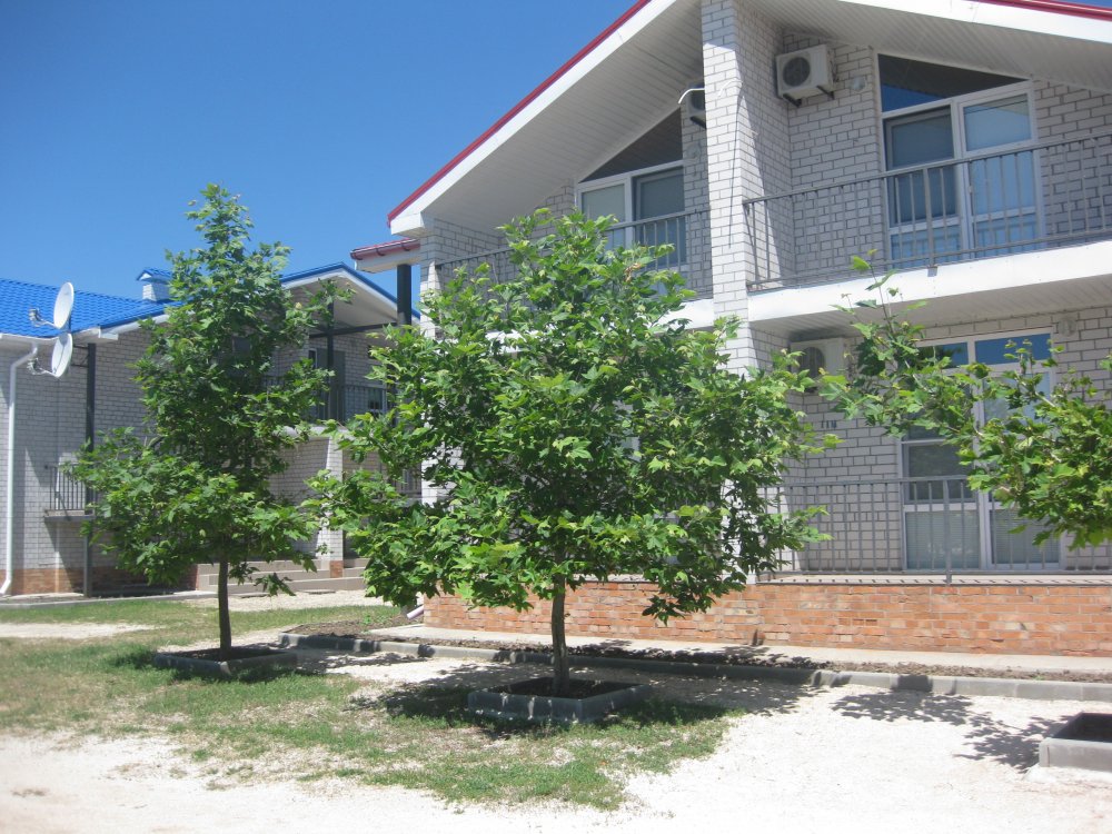 база отдыха «Ялта», Кирилловка. Фото 3