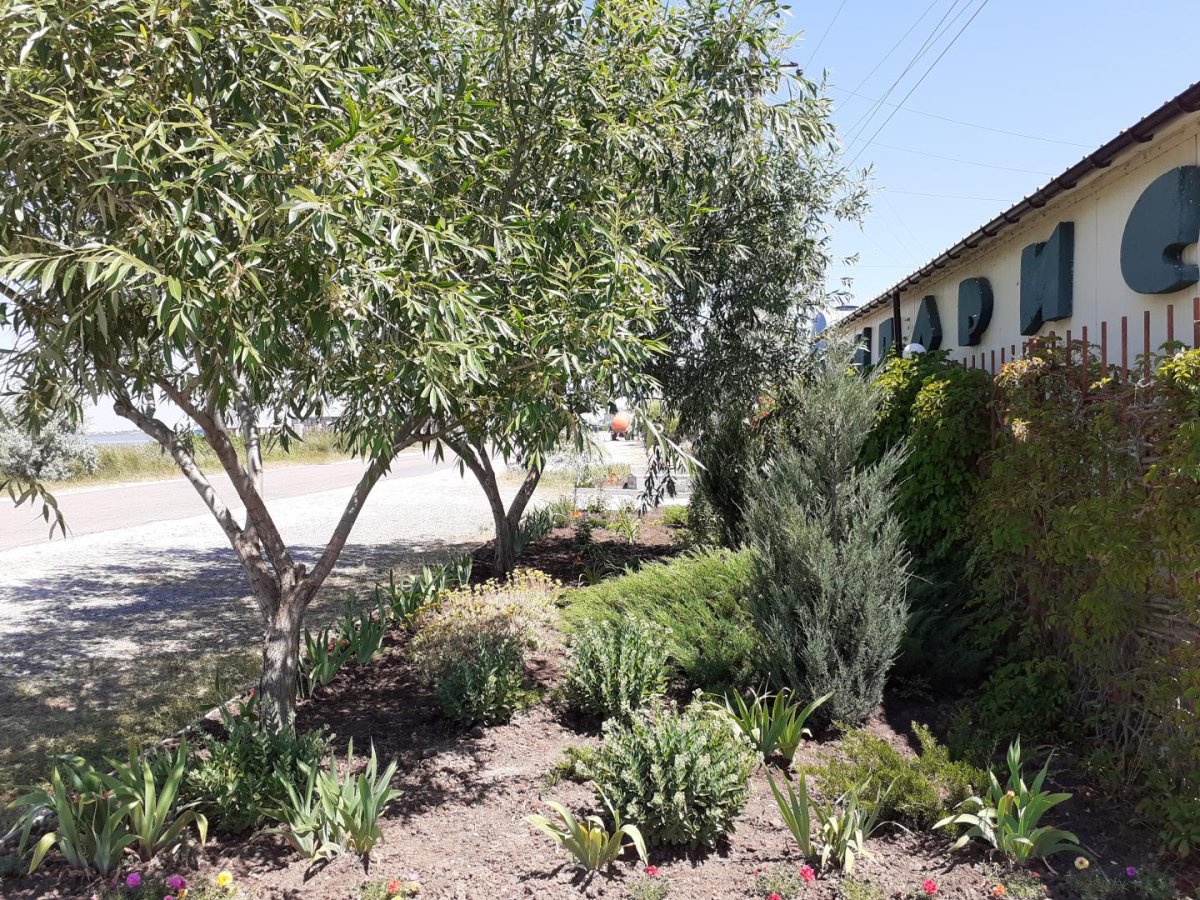 база отдыха «Кипарис», Кирилловка. Фото 5