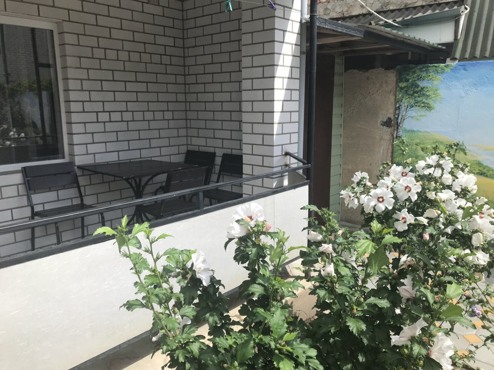 гостевой дом «Афродита +Бассейн», Кирилловка. Фото 13