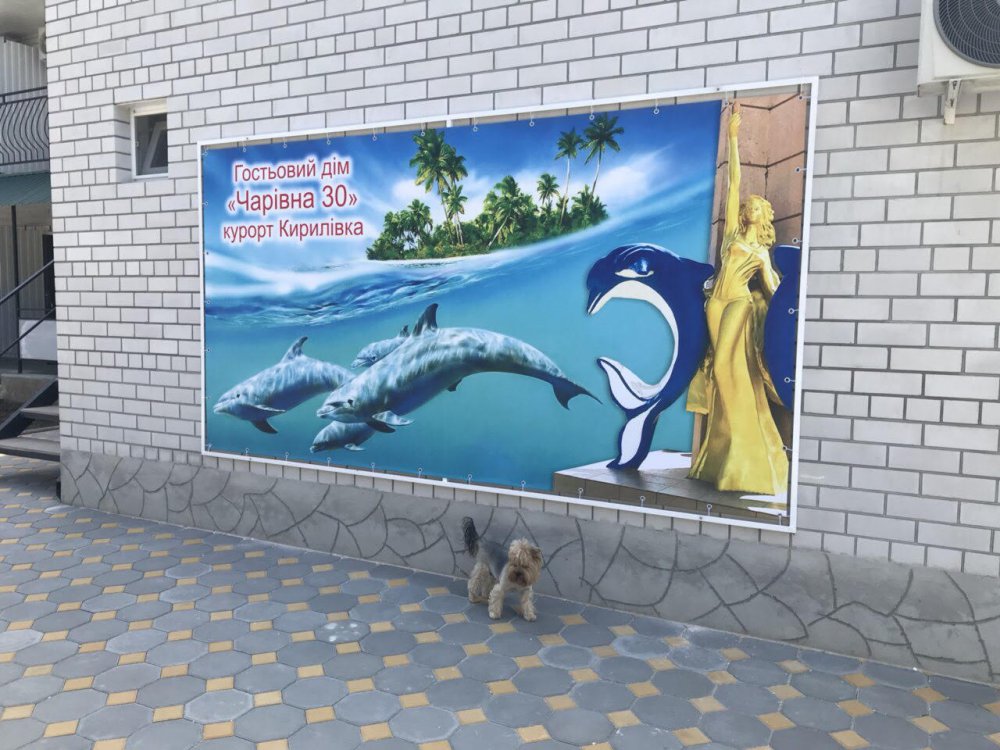 гостевой дом «Афродита +Бассейн», Кирилловка. Фото 48