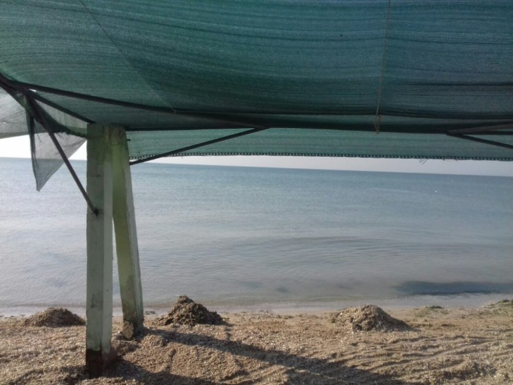 гостевой дом «Лагуна», Степановка первая. Фото 6