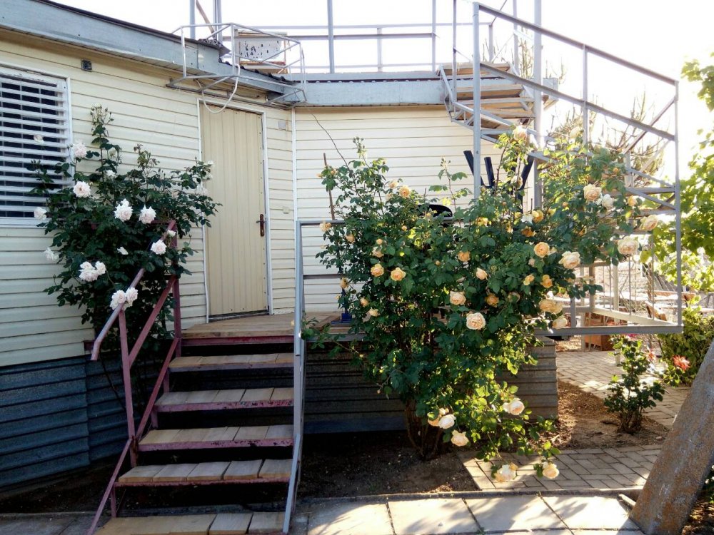 гостевой дом «Лагуна», Степановка первая. Фото 12