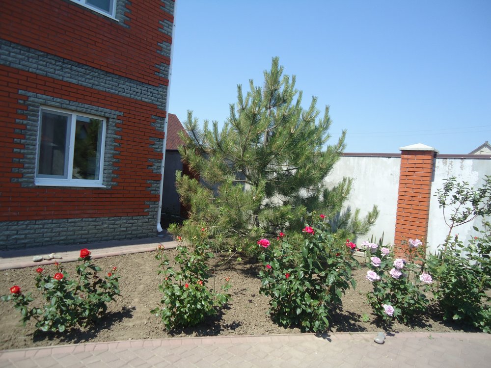 гостевой дом «РУБиС», Новоконстантиновка. Фото 14