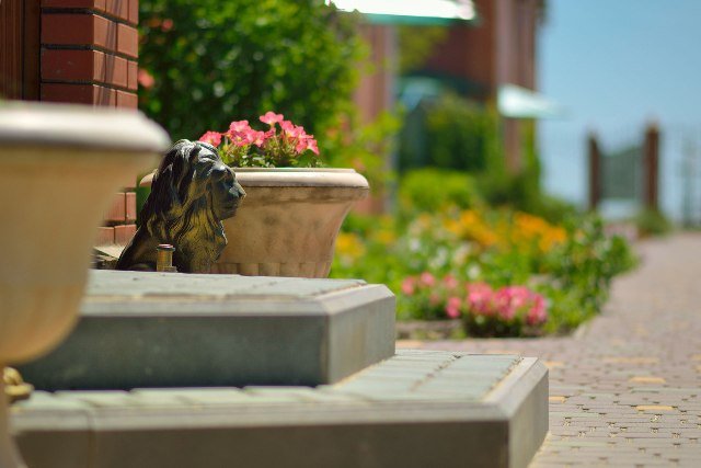 парк-отель «Альбион», Кирилловка. Фото 4