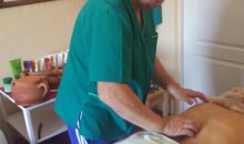 Кирилловка, база отдыха «Елена». Случайное фото