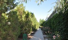 Кирилловка, база отдыха «Елена». Случайное фото