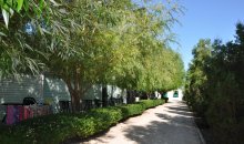 Кирилловка, база отдыха «Елена». Случайное фото