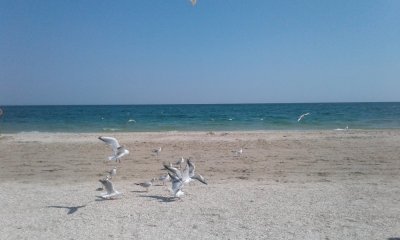 мини-отель Мажор Кирилловка