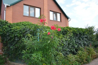 парк-отель Альбион Кирилловка