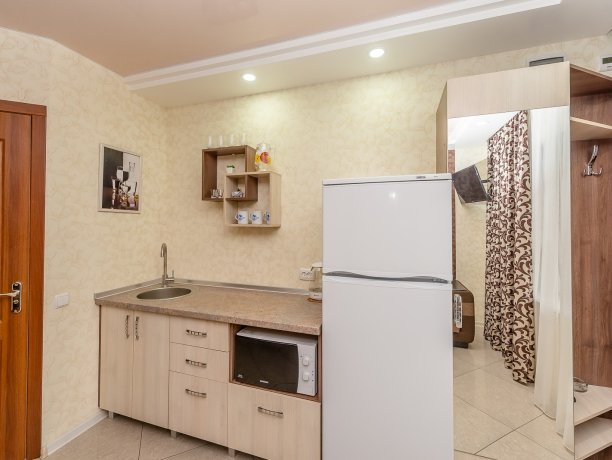 Люкс №4 VIP однокомнатный, гостевой дом «Гостевой Дом 170», Кирилловка. Фото 5