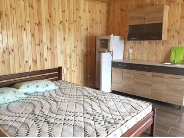 Люкс №3 VIP однокомнатный, база отдыха «Золотое Руно», Кирилловка. Фото 4